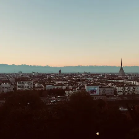 Family Turin